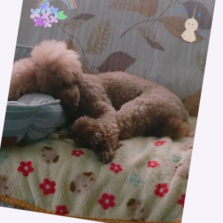 Da039ea4 e197 48a4 829f 38595847c357 1529277700608