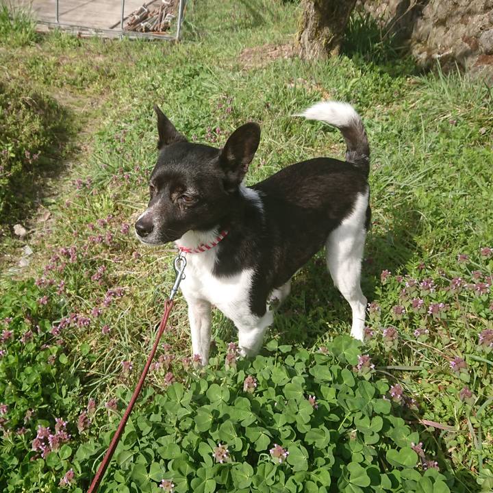 Da03c5a9 8179 46d4 b320 27eb2f217844 1522380758696