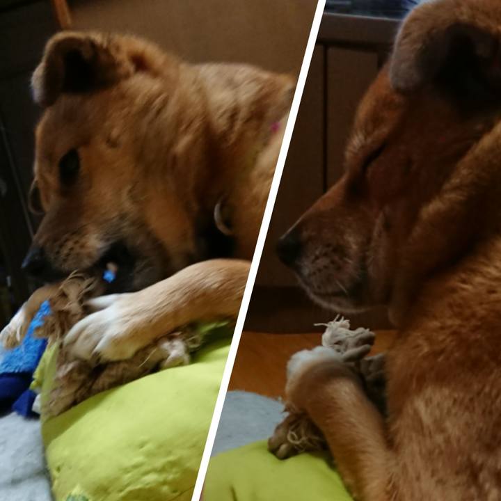 Da03edbd e987 48a5 989f 59e5070dfc3a 1611578751922