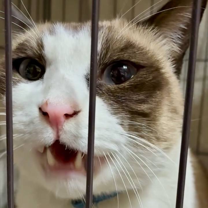 Da041148 fbd6 4247 b2d8 56d04738f423 1764757568676