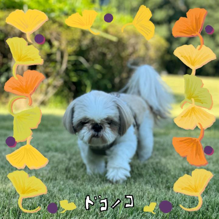 Da041e15 1043 49b3 bf17 0bad20419563 1730116953174