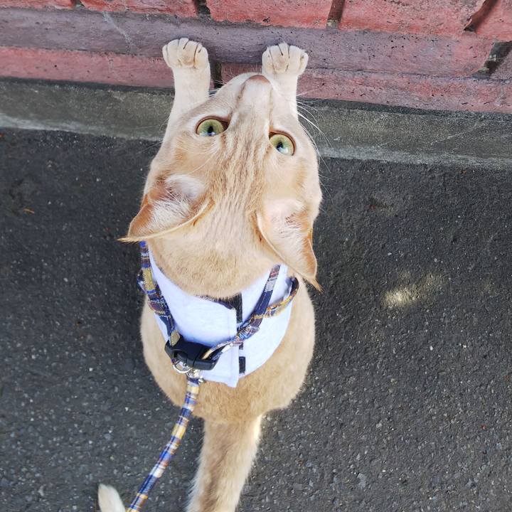 Da046566 a3df 4563 8a10 ebc3a75ebe53 1568438539687