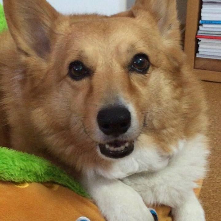 Da048062 3a0c 4c0b 8a41 d71dfd39e10b 1691911933073