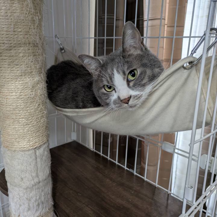 Da0481f5 cad5 4b9b 9097 c7d73014b872 1749532629360