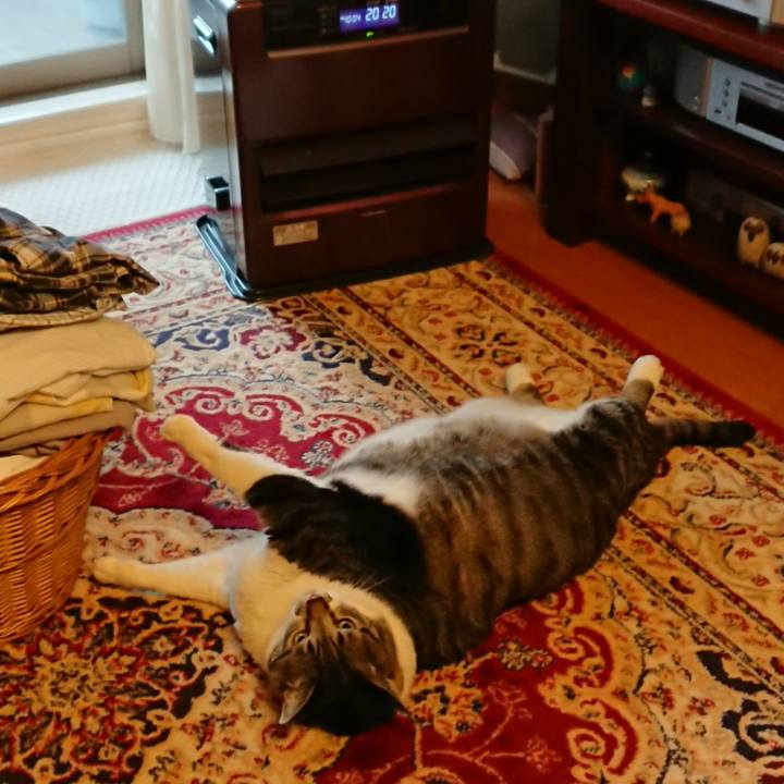 Da0484c9 8a9a 498e 8bec 9fe05ca7e376 1575682104745