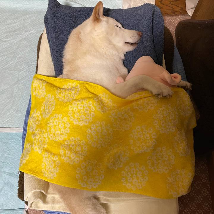 Da04bb86 8b0b 4b39 bceb 66f7cfddcb89 1634828783891