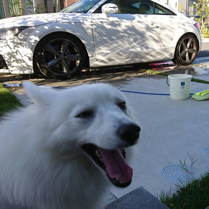 Da04c0f6 cb52 4072 9b40 ce1f4207b3da 1538981350208