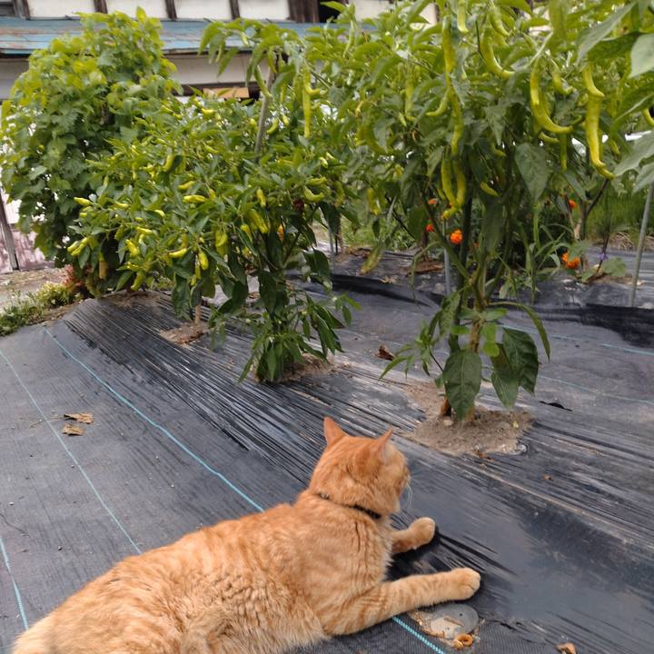 Da04fcc7 98c6 4aa8 b8d6 5f1e00b7ac23 1690972265479