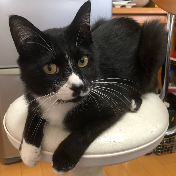 Da0517c2 c957 45a0 ad38 33d7b225883b 1661226301512