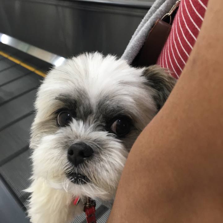 Da0525f0 f960 4e03 bc24 9883aa03ec17 1532563631581