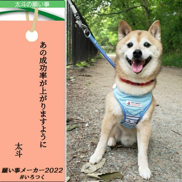 Da052e14 c43f 4d35 8c58 950b5b41e6a2 1657064996000