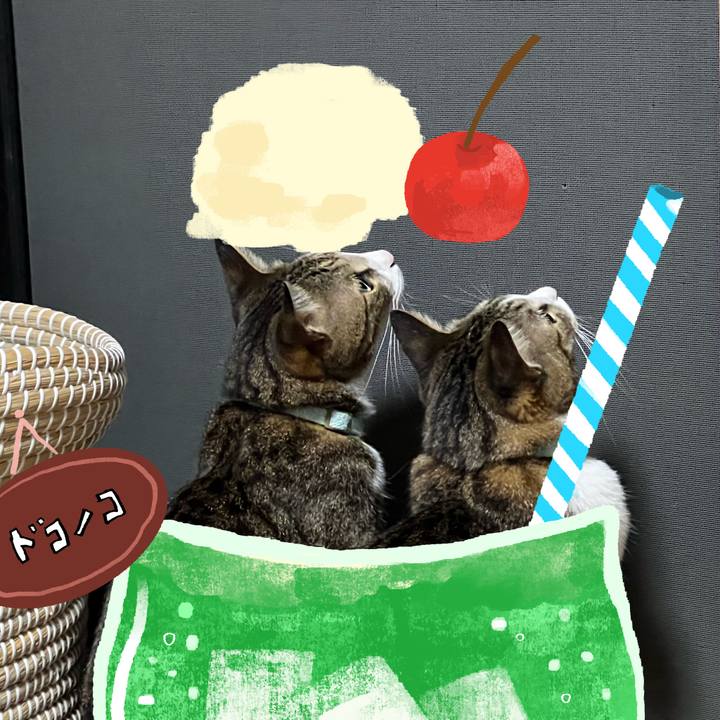 Da054b47 a96a 4f68 b302 d226f346a800 1755236016053