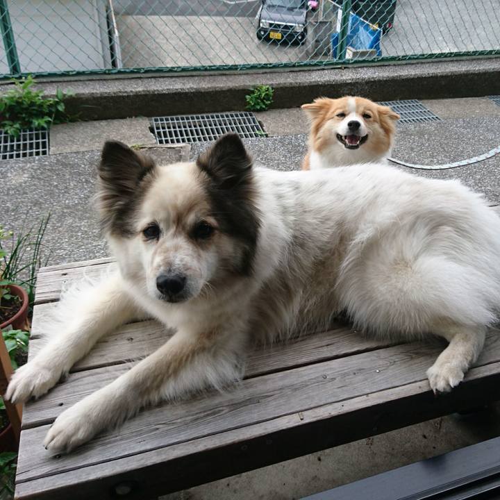 Da055756 593d 401a acfb 63b6ccd56543 1589711073165