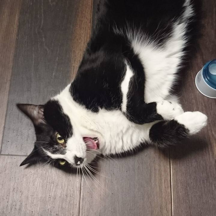 Da055ff9 b626 4cff 9285 cad648f11446 1527861484897