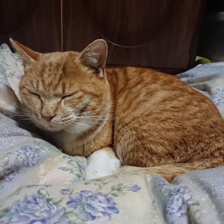 Da058db9 e08b 4b5f 8fd5 2c2611a241b1 1579693601535