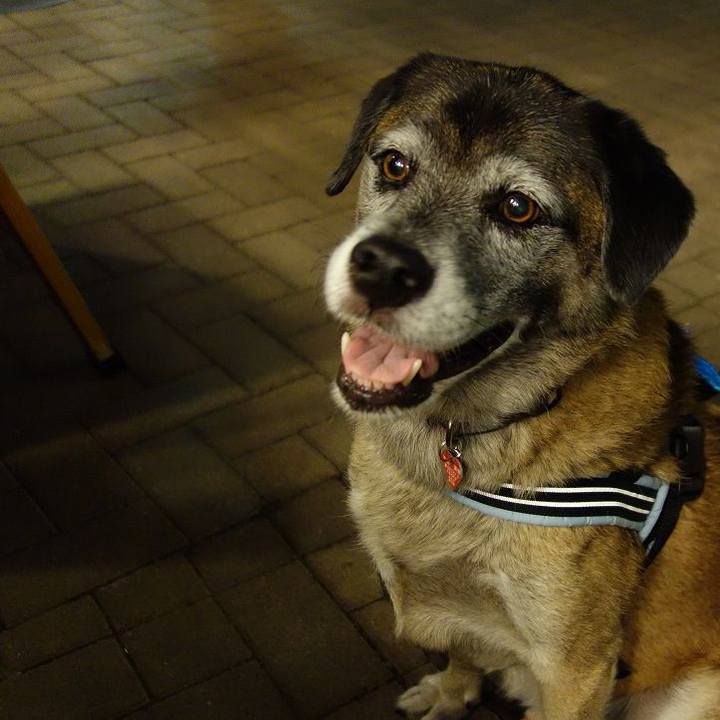 Da05a6fc 204a 46b3 9d2a 7b4c957949e7 1507722734030