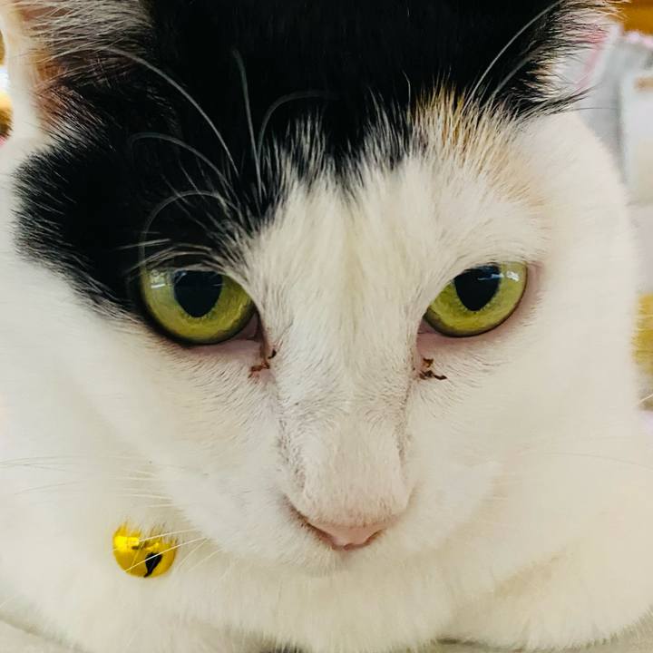 Da05afbb 658f 445b 890b b57126e4661f 1759499383912