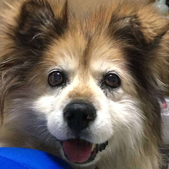 Da05afce e8a9 409e b5da 894b91601aec 1567917381826