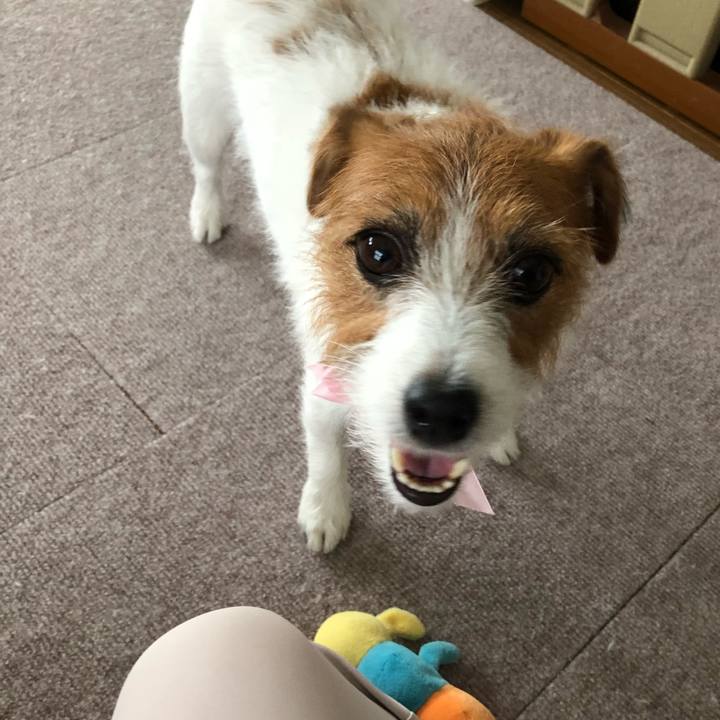 Da060d86 7904 4289 bcec 45136e83b1ca 1535865022478