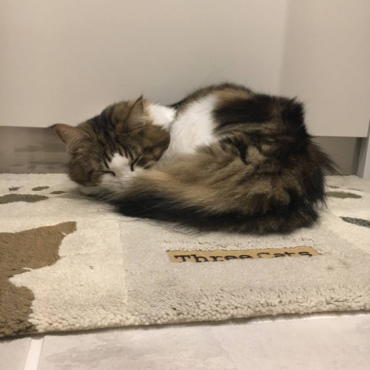 Da06705d 1cf8 4dab 89c8 c49f50055975 1538739427876