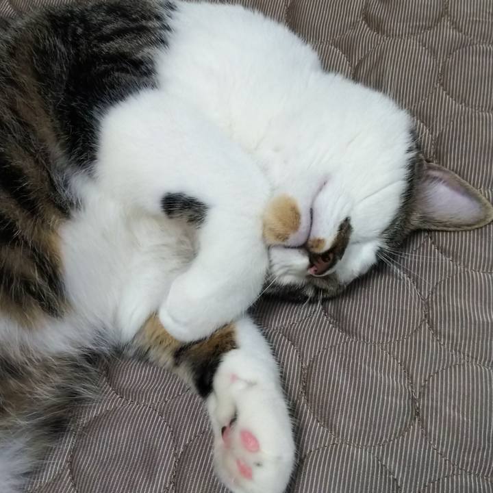 Da0671fc ccf7 4313 9270 100c58bc0e7e 1624196747684