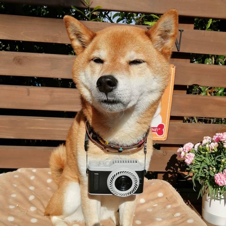 Da067294 fa2e 43e6 b64b 6ede41353844 1652856911970