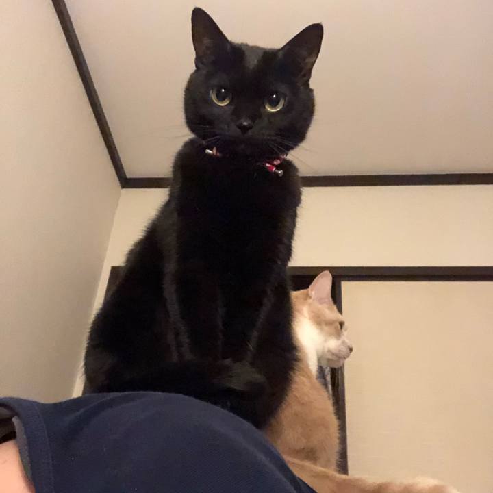 Da06e53d daf6 47f4 bb6f c0a6b0217771 1616068053084