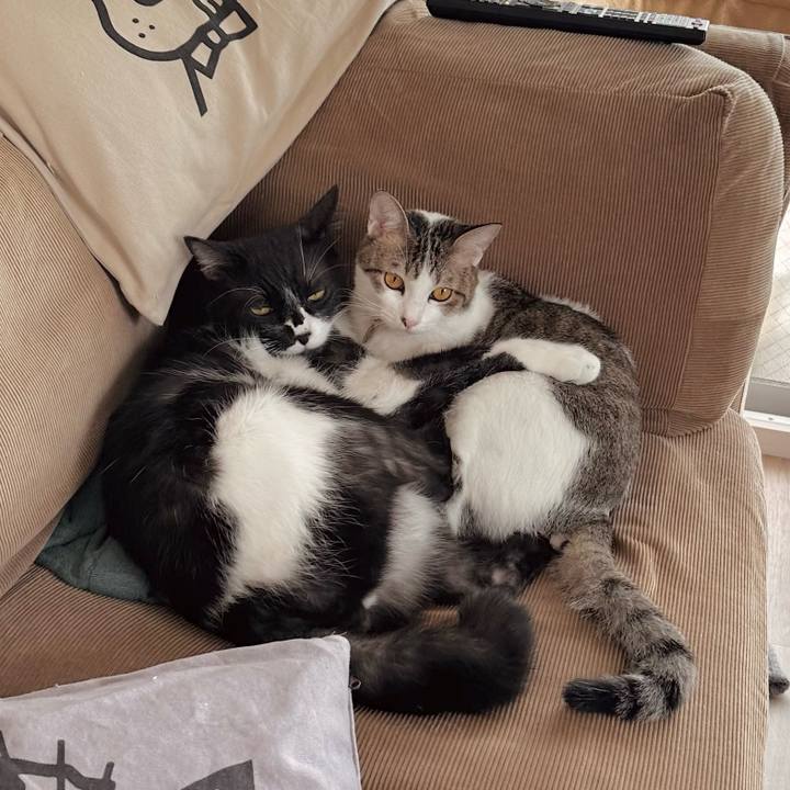 Da074c04 342f 4cd6 87fe 68623322f852 1762067661262