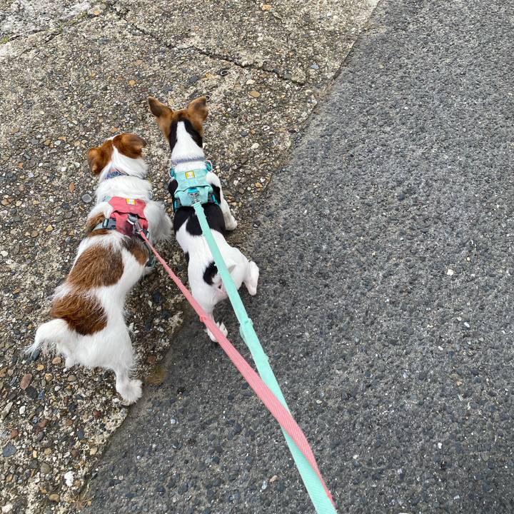 Da07715f 636b 49a6 9cc6 63115cf779d6 1748300068474