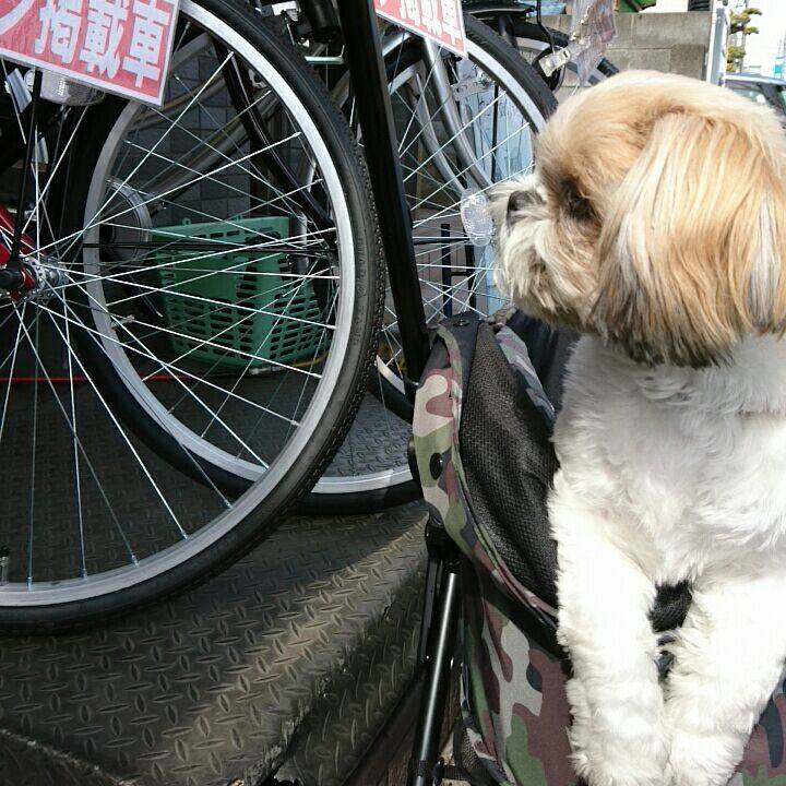 Da0784d7 7bdd 4b8a 9b0b 5e6fd2008d24 1552706700135