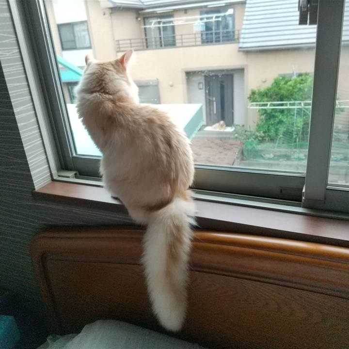 Da07e314 aa6b 48dd bde1 0ce95ae2ddbf 1621207525126