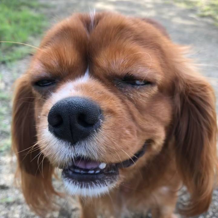 Da08035d 9f26 4459 9d56 00fc08beb51f 1567251761066