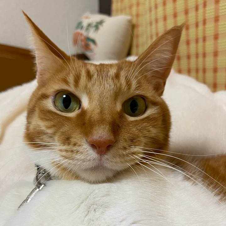 Da080a44 9d64 4e17 a796 d0a8930dfff2 1648898686845