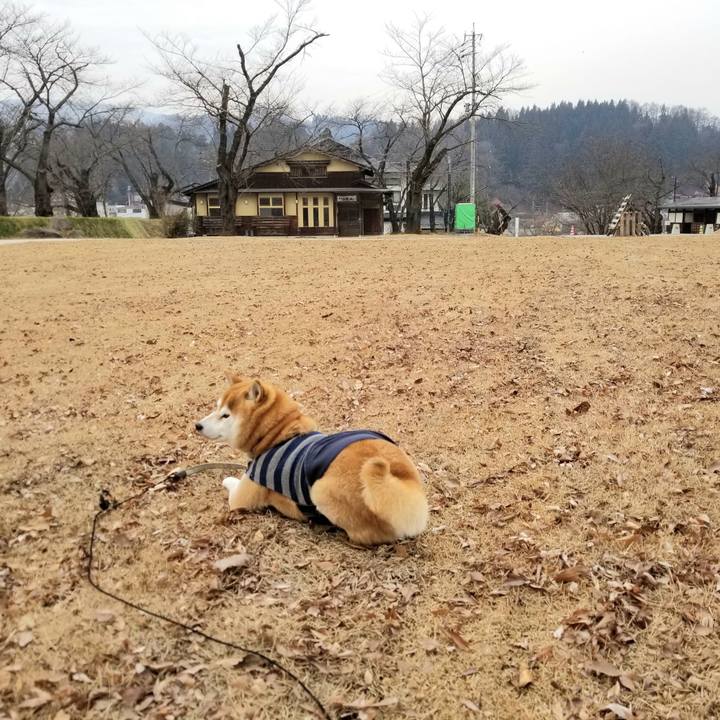 Da083036 28a9 4445 83c7 7210630e1e75 1577332996015