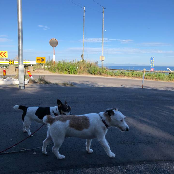 Da083834 bb84 4652 b7fc fc6a3dfb1fc9 1534897932298