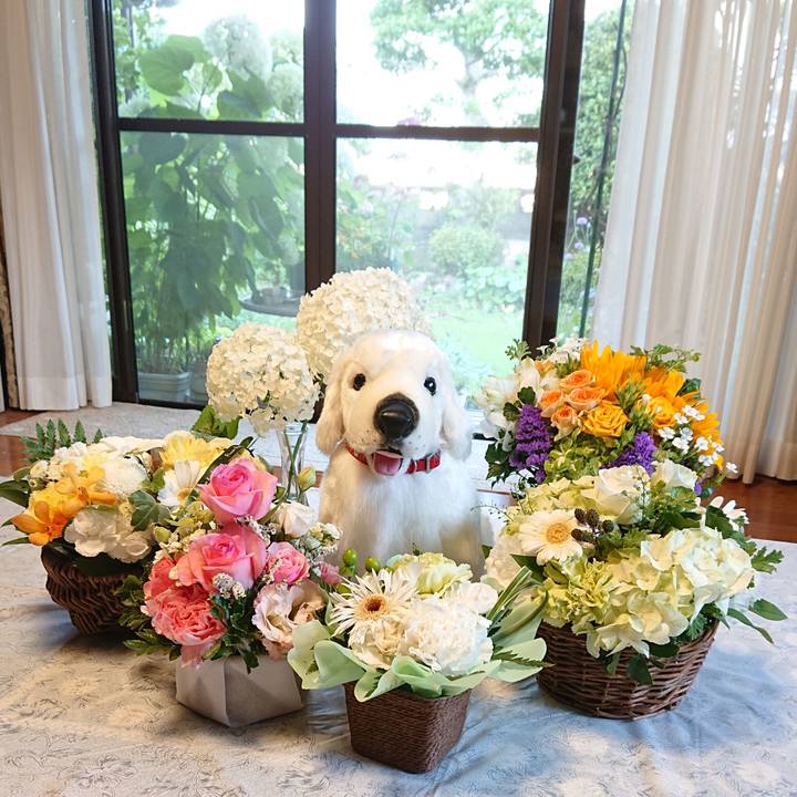 Da083ea3 13ed 43e0 8365 2a611270e6d9 1624096088810