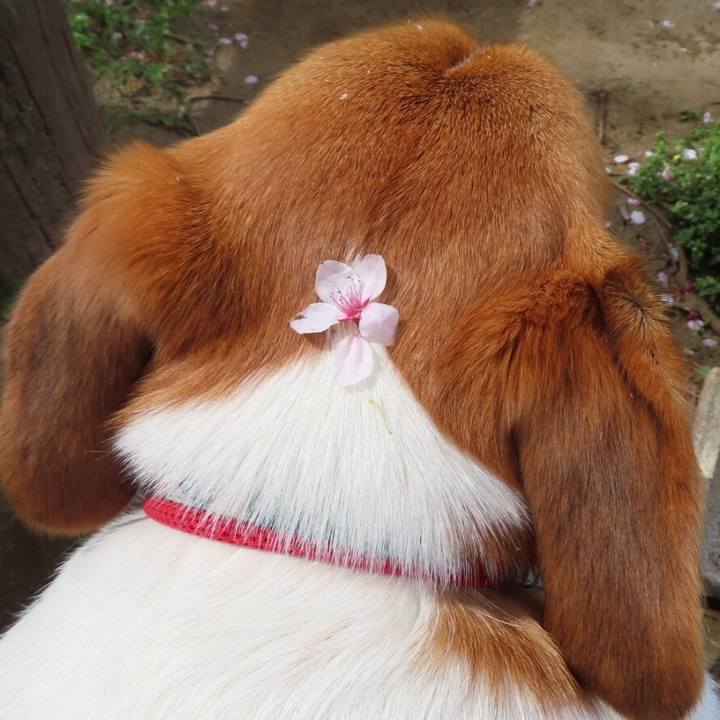 Da084217 8a73 4075 9378 001d2436e4da 1649653998031