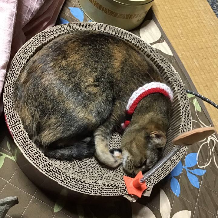 Da084e1b 88c3 4030 8006 930f97b91be2 1610967749970