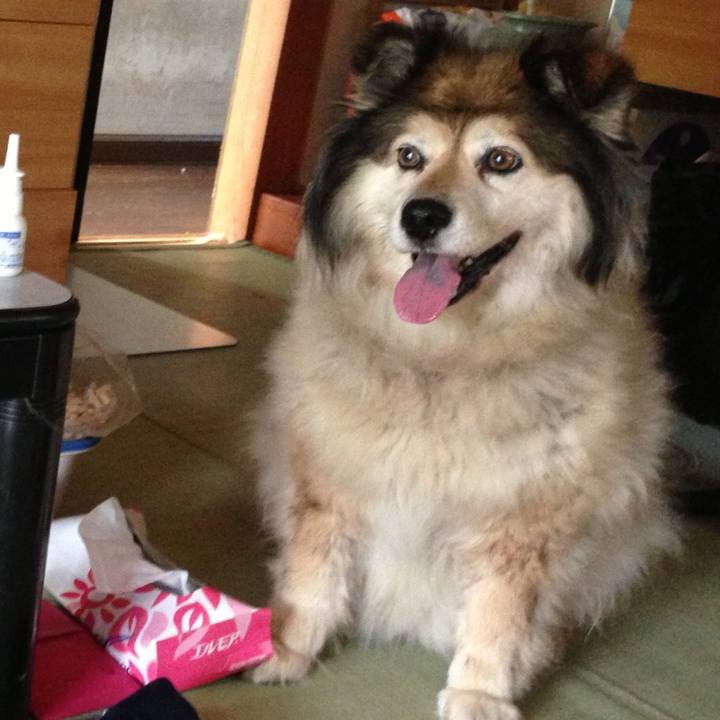 Da086c6a c881 4fb5 8925 486acde95df3 1557387159540