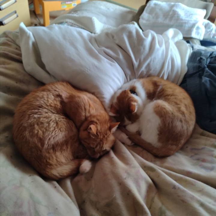 Da0876bf 3193 4b3b 823c f7a88f67ff29 1764901554137