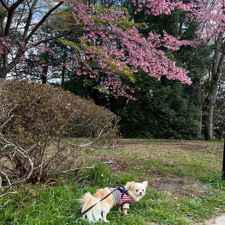 Da0878f9 fba2 43b8 ac8d 6f227747bf2e 1774665180814