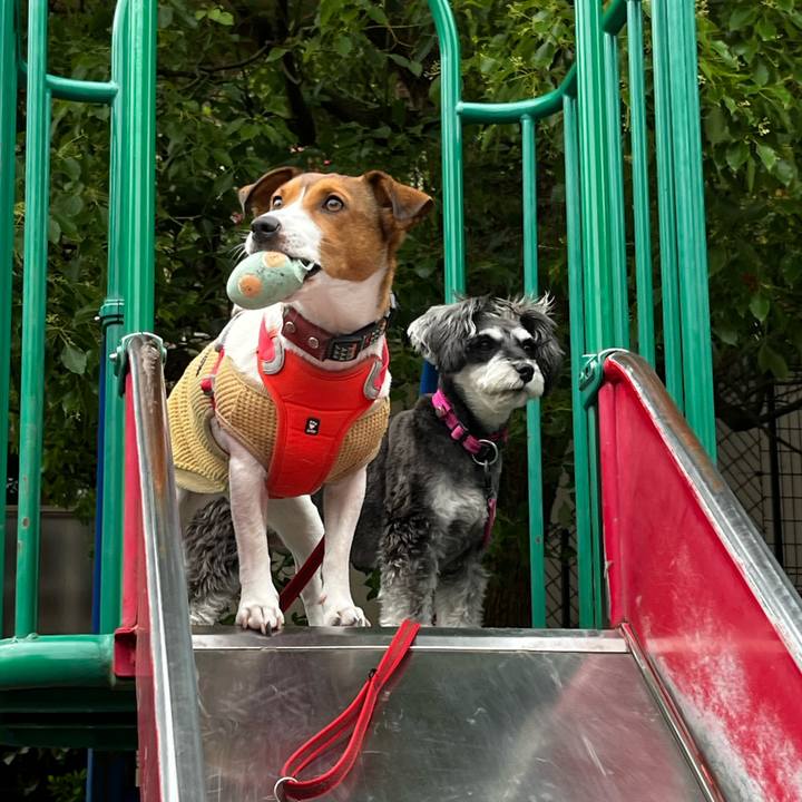 Da0891ae bc3b 424e a7eb 51f9ce9e73aa 1748231550860