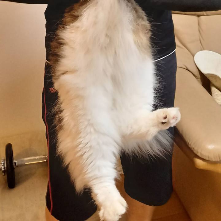 Da08c0b7 a634 41f0 9d5d ecd6ff964102 1628770233295