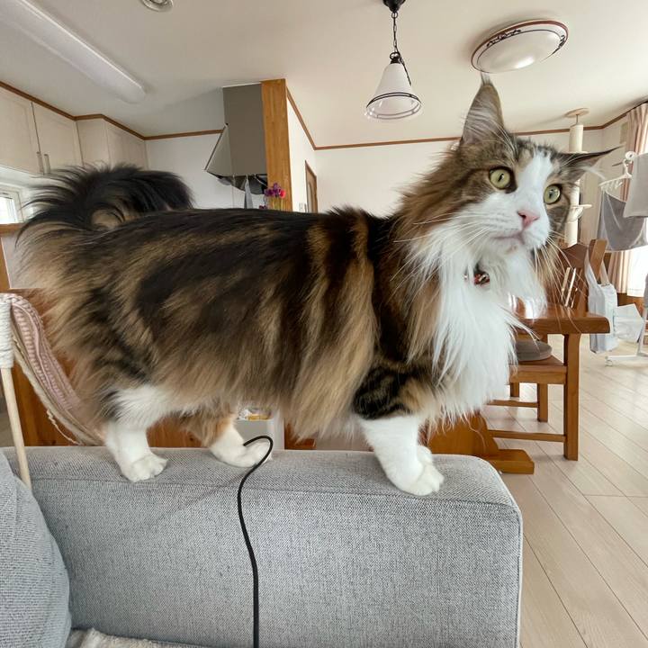 Da092462 da2a 4ecf 88f8 77212f25884b 1682214512000