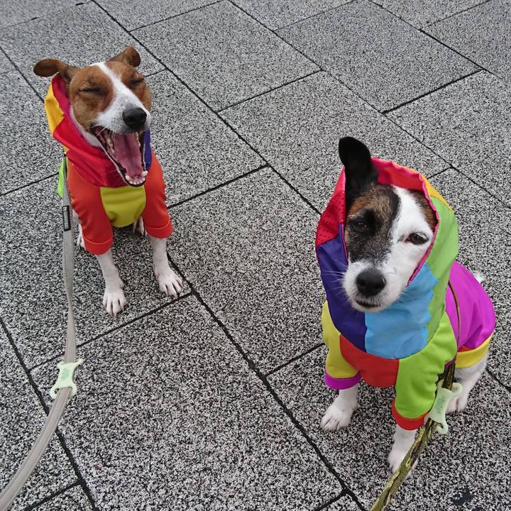 Da09981d 59fd 4ff4 8e5f 77f8a84916c5 1599342914395