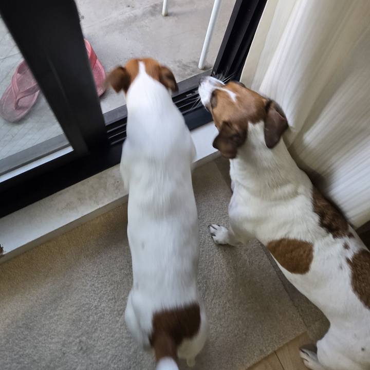 Da09c1cf 87ce 4f69 a84c 41c3639c01fe 1769387032871