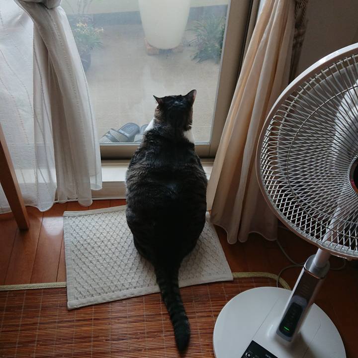 Da09cef6 3c25 4cd1 a54d 116a27d873ae 1533160540183