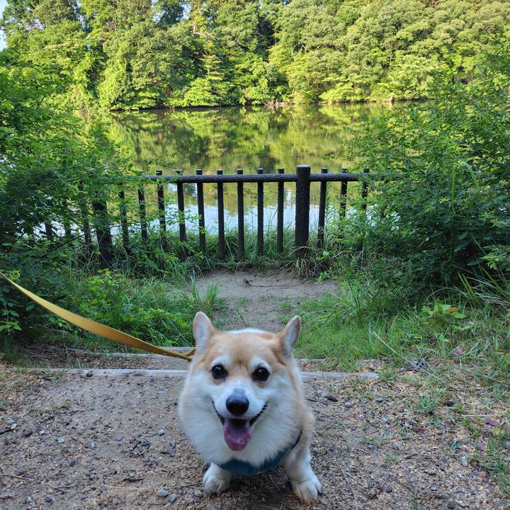 Da09ec76 7eba 4e15 a109 9c2768b50ccb 1752969598113