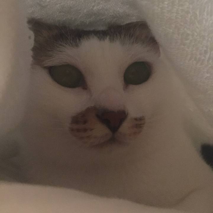 Da0a0e83 b0ff 4238 8089 a15cc58aa93e 1599978498351