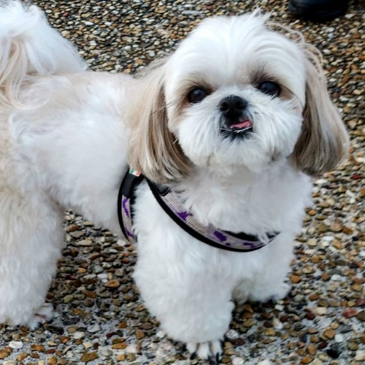 Da0a3f3a ba7a 46e5 8ed4 e058e6730c49 1747883156681